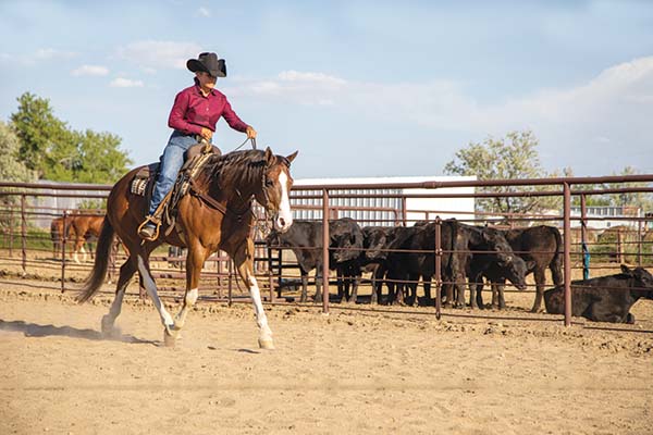 Ranch Utilizing Rundown – Horse Illustrated