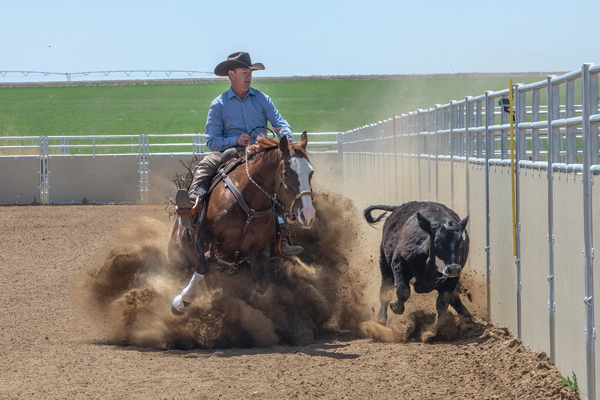 Cattle Work 101 – Horse Illustrated