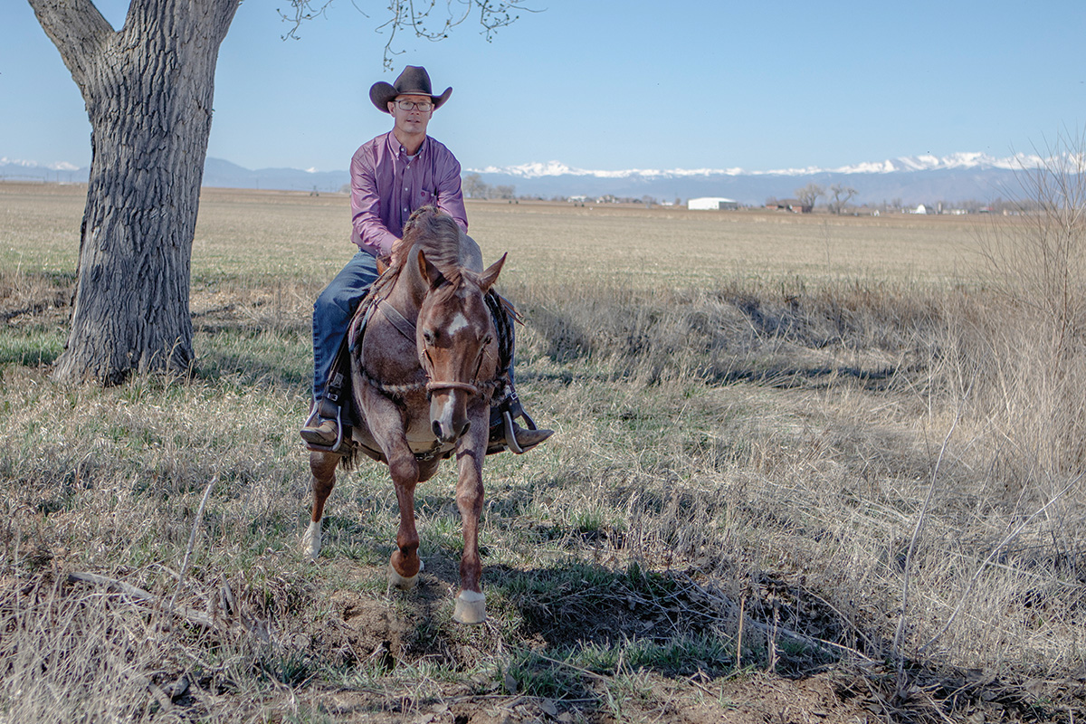 Prepare Your Horse to Cross a Ditch