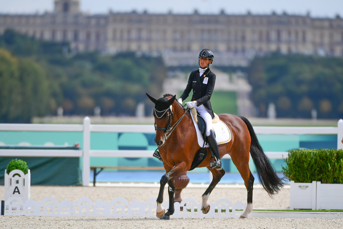 Para Dressage Grade V Explicit particular person Outcomes