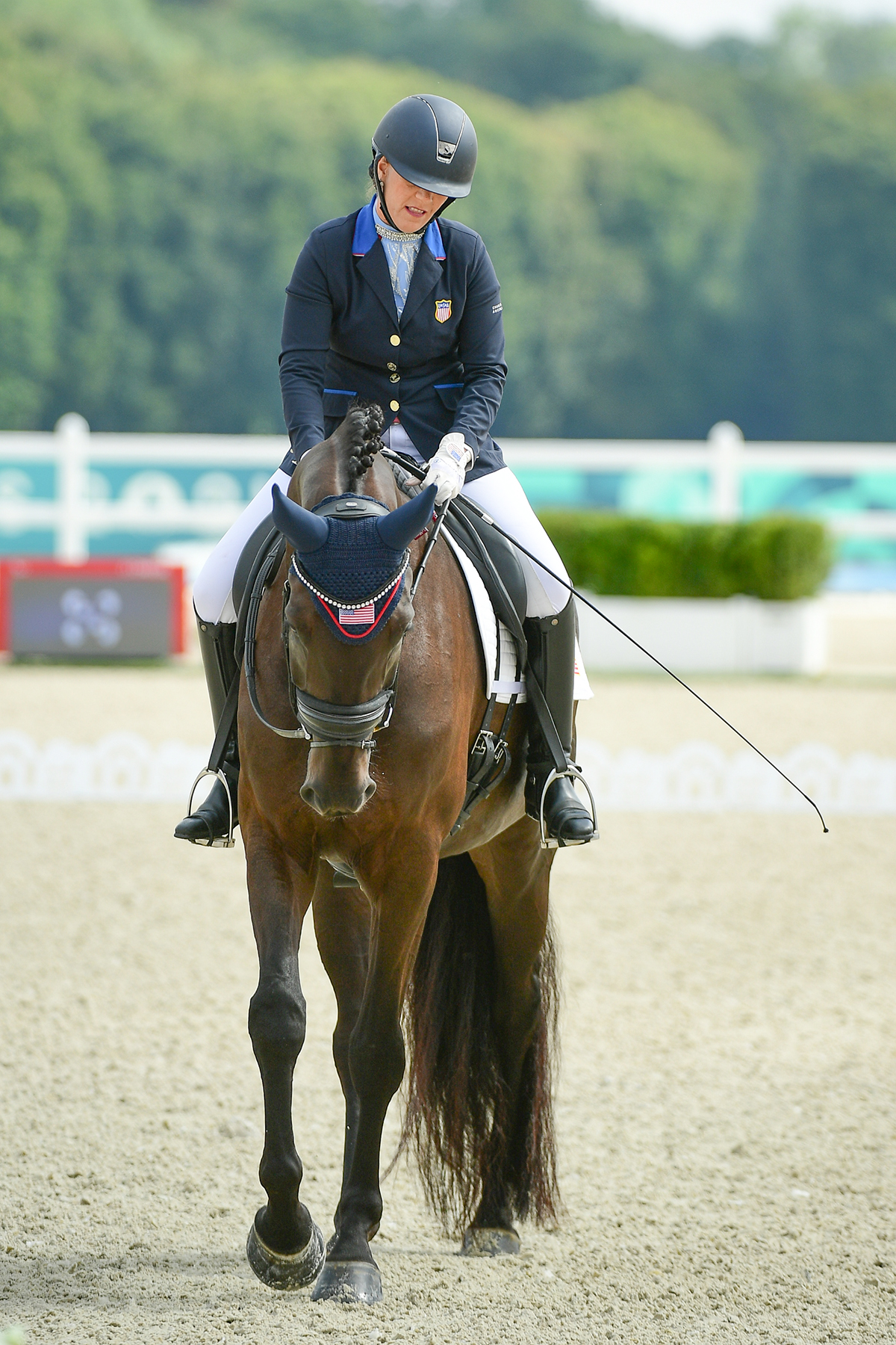 Grade I Freestyle Para Dressage Outcomes