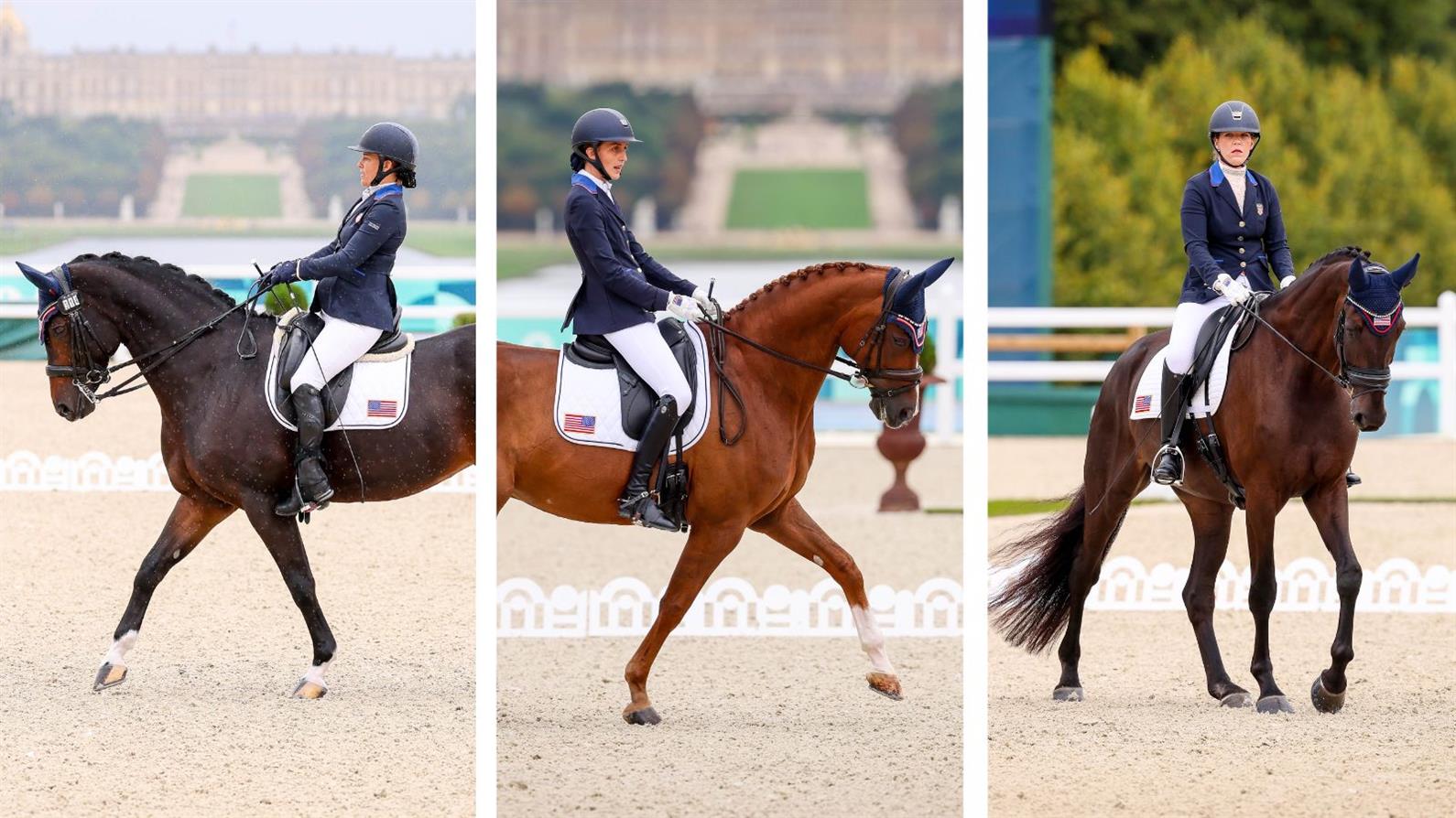 U.S. Paralympic Dressage Workforce Launched for Workforce Rivals