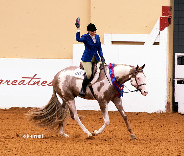 APHA World Current 2019 Stroll Away with Additional Than  Million