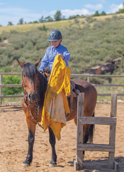 Introduce Your Horse to a Rain Slicker